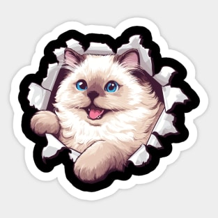 Funny Cut Out Cat Selfie Sticker